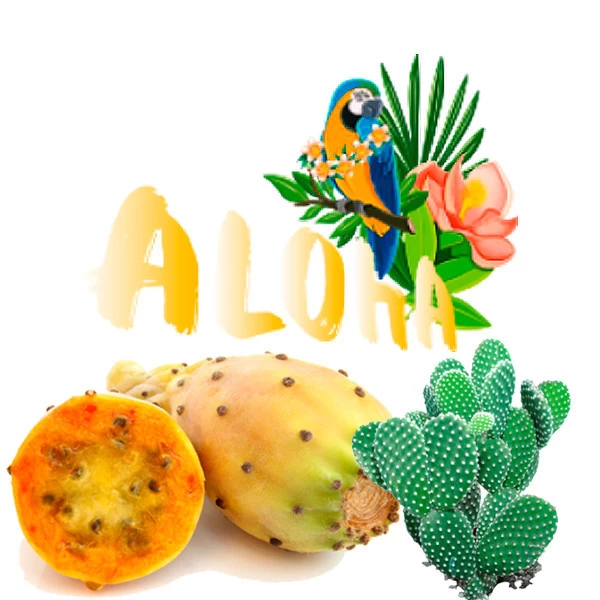 Безникотиновая Смесь Aloha (Кактус) 40 гр