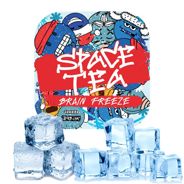 Чайная смесь Space Tea Brain Freeze (Брейн Фриз) 40 гр