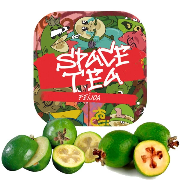 Чайная смесь Space Tea Feijoa (Фейхоа) 40 гр