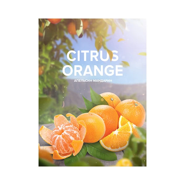 Табак 420 Tea Line Citrus Orange (Цитрус Апельсин) 125 гр