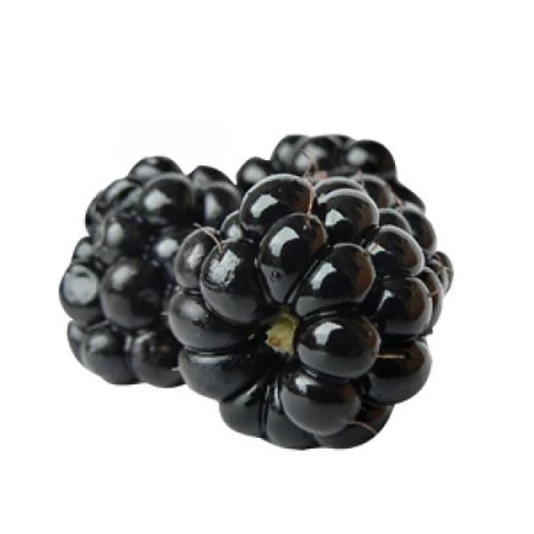 Табак Fumari Blackberry (Ежевика) 100гр