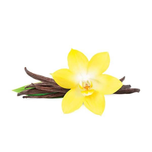 Табак Fumari French Vanilla (Французская Ваниль) 100гр