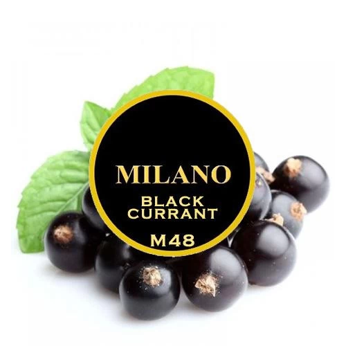 Табак Milano Black Currant M48 (Смородина) 100 гр