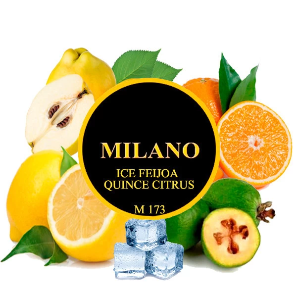 Табак Milano Ice Feijoa Quince Citrus M173 (Лед Фейхоа Айва Цитрус) 50 гр