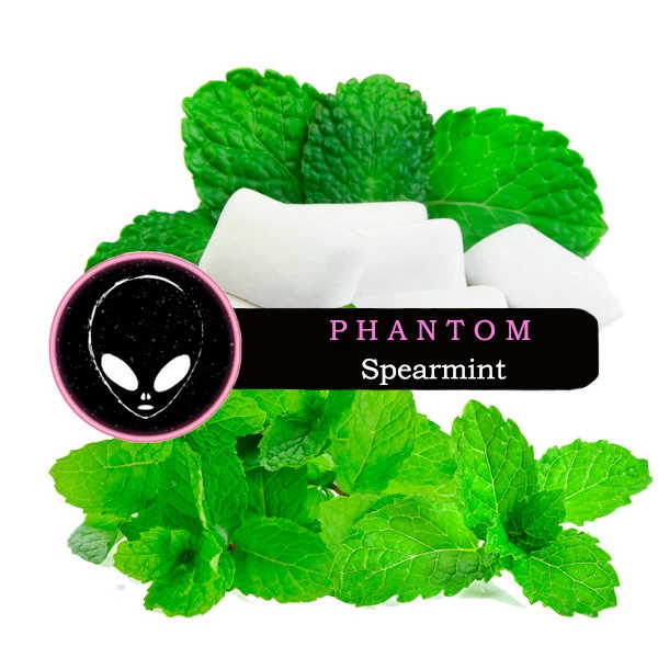Табак Phantom Soft Spearmint (Мята) 50 гр