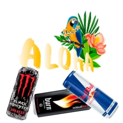 Безникотиновая Смесь Aloha (Берн) 40 гр