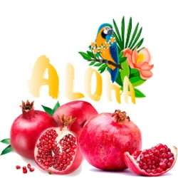 Безникотиновая Смесь Aloha (Гранат) 40 гр
