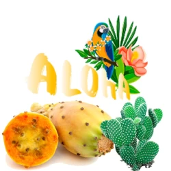 Безникотиновая Смесь Aloha (Кактус) 40 гр