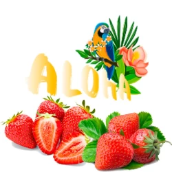 Безникотиновая Смесь Aloha (Клубника) 40 гр