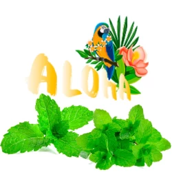 Безникотиновая Смесь Aloha (Мята) 40 гр