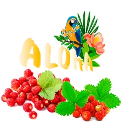 Безникотиновая Смесь Aloha (Земляника) 40 гр