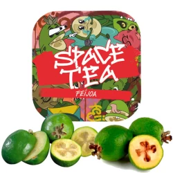 Чайная смесь Space Tea Feijoa (Фейхоа) 40 гр
