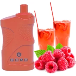 Одноразовая электронная сигарета GORD Raspberry Mojito (Малина Мохито) (4000 Затяжек)