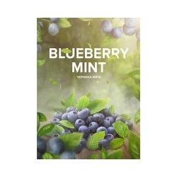 Табак 420 Tea Line Blueberry Mint (Черника Мята) 125 гр