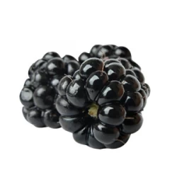 Табак Fumari Blackberry (Ежевика) 100гр