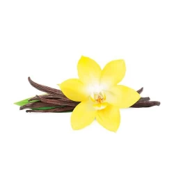 Табак Fumari French Vanilla (Французская Ваниль) 100гр