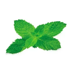 Табак Fumari Mint (Mind Chill) (Мята) 100гр