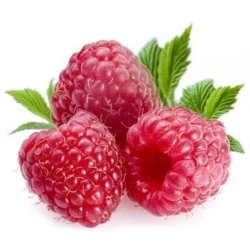 Табак Fumari Raspberry Swirl (Малина) 100гр