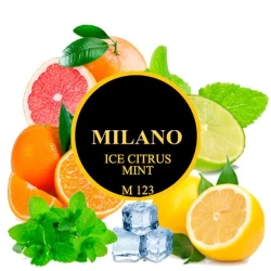 Табак Milano Ice Citrus Mint M123 (Цитрус Мята Лед) 50 гр