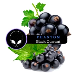 Табак Phantom Medium Black Currant (Черная Смородина) 100 гр
