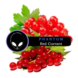 Табак Phantom Medium Red Currant (Красная Смородина) 100 гр
