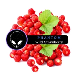 Табак Phantom Medium Wild Strawberry (Земляника) 100 гр