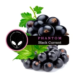 Табак Phantom Soft Black Currant (Черная Смородина) 50 гр
