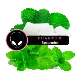 Табак Phantom Soft Spearmint (Мята) 50 гр