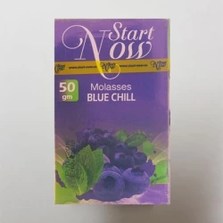 Табак Start Now Blue Chill (Черника с Мятой) 50гр