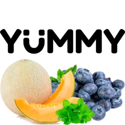 Табак Yummy Дыня Черника Мята 100 гр
