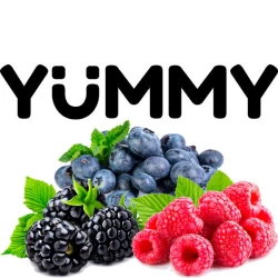 Табак Yummy Лесные Ягоды 250 гр