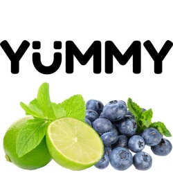 Табак Yummy Лайм Черника 250 гр
